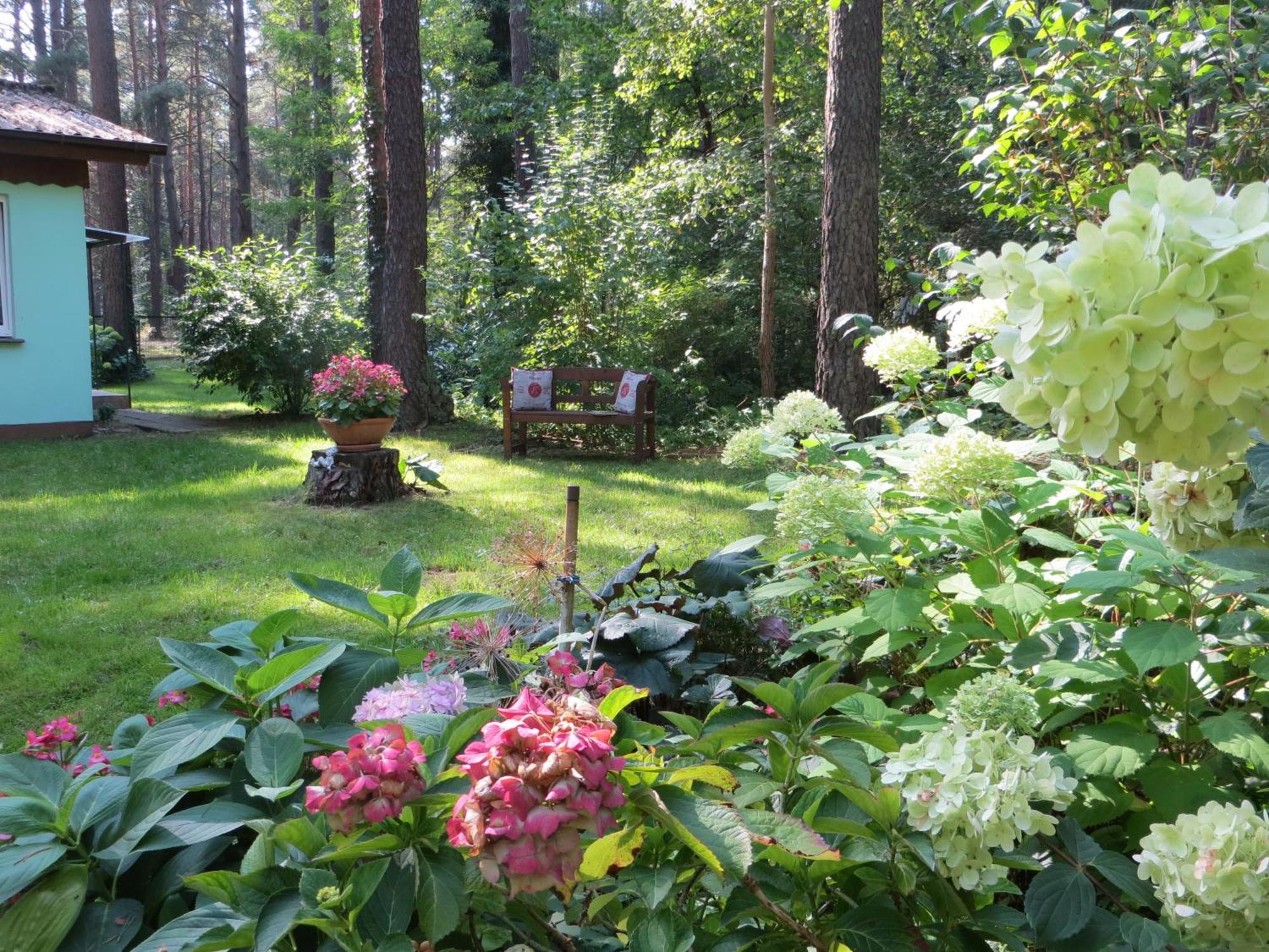Kastavengrund - Ferienhaeuser Mit Kamin Lychen Extérieur photo